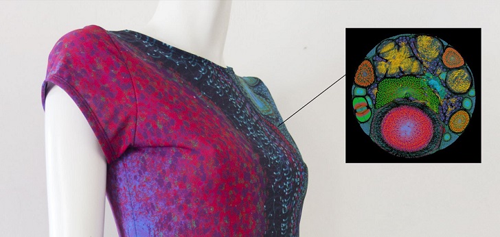 Tommy Hilfiger se alía con el FIT e IBM para llevar la inteligencia artificial artificial a su diseño Diseño por inteligencia artificial